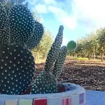 Domek alpejski Rustico Fra Il E Il Mare A Lido Valderice