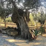 Domek alpejski Rustico Fra Il E Il Mare A Lido *
